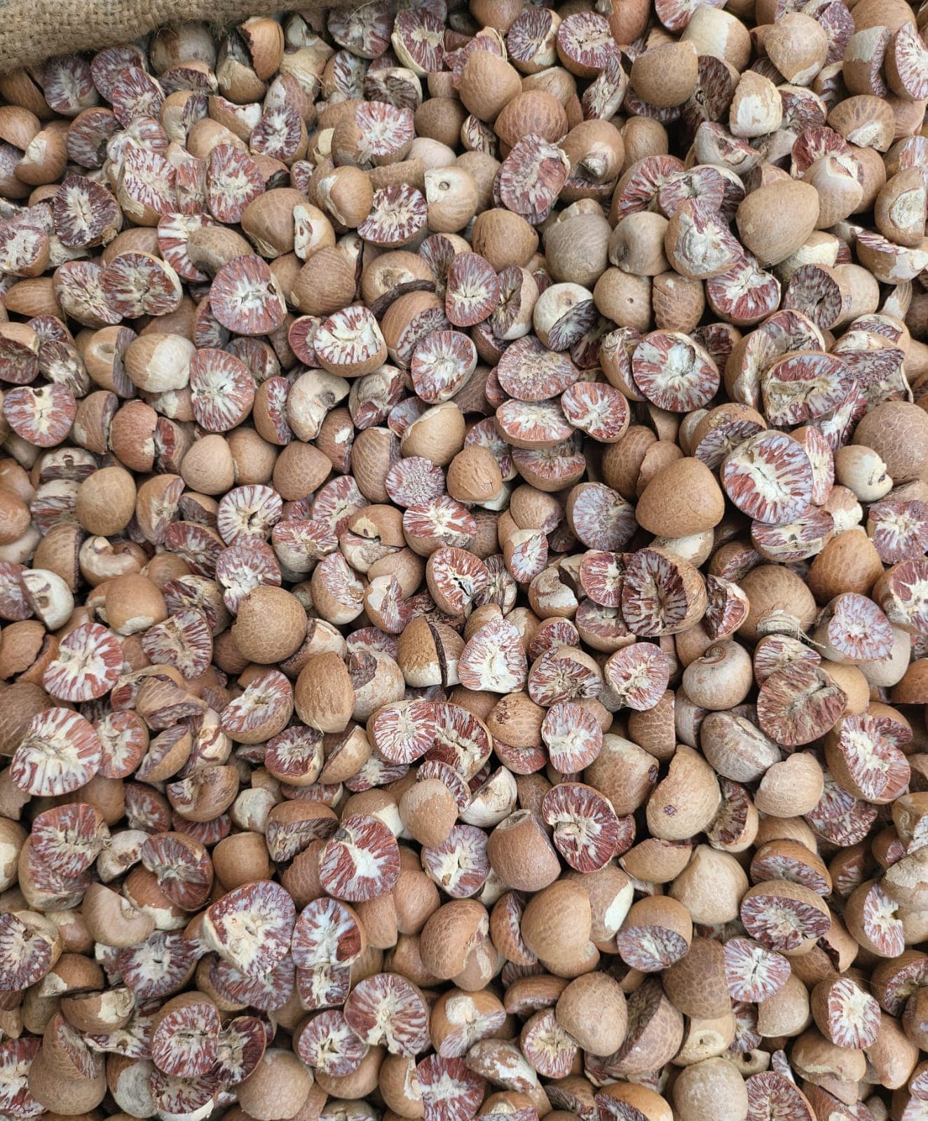 SPLIT BETEL NUT (PINANG BELAH)